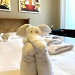 “il Globo” ピストイア